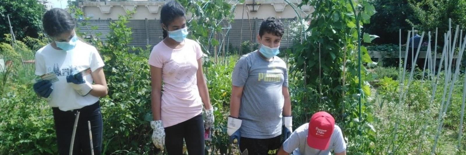 Ragazzi e ragazze con guanti da lavoro, all'interno di un orto.