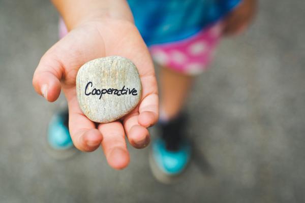 Bambina con un sasso in mano con scritto "Cooperative"