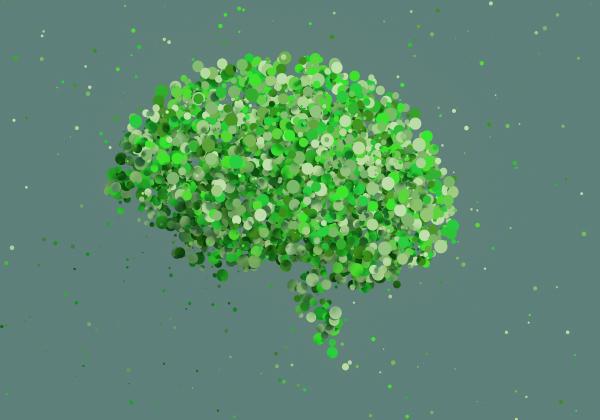 cervello natura